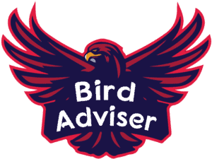 BirdAdviser