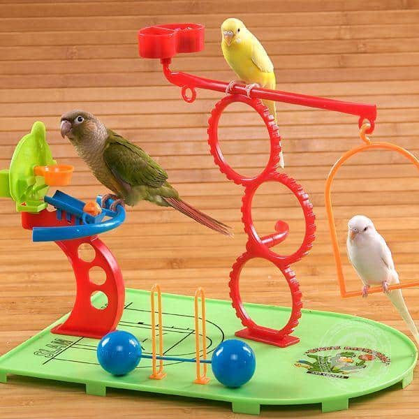 Parakeet Toys