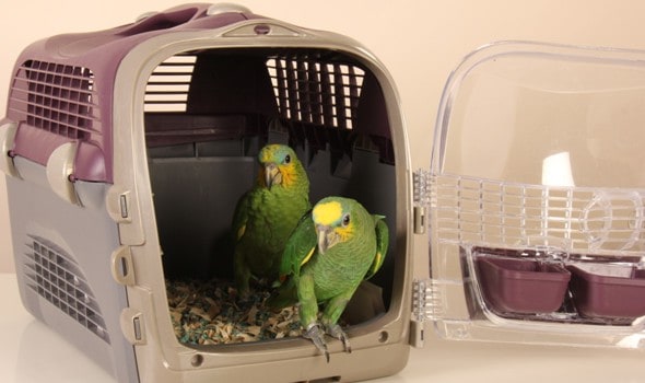 Parakeet Travel Carrier