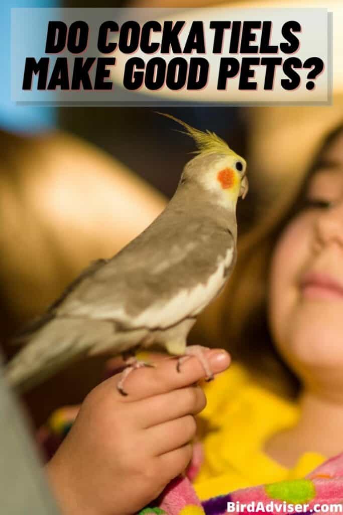 Do Cockatiels Make Good Pets