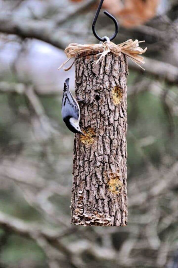 Suet Log