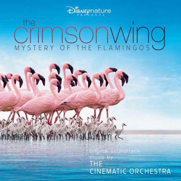 Crimson Wing - The Flamingo Mysteries