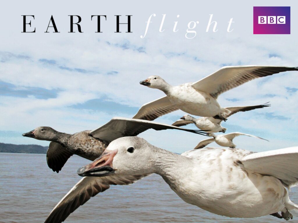 Earth-flight