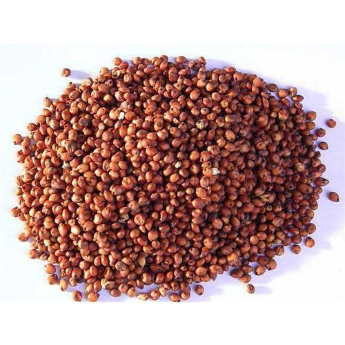 Red Milo Seed