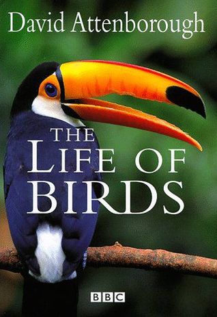 The Life of Birds