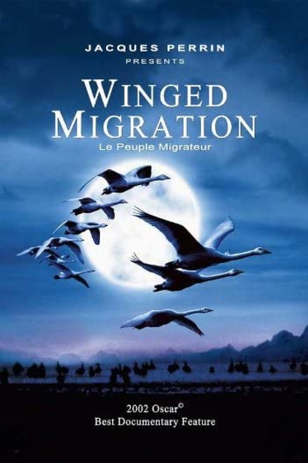 Winged Migration