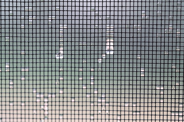 mesh in window